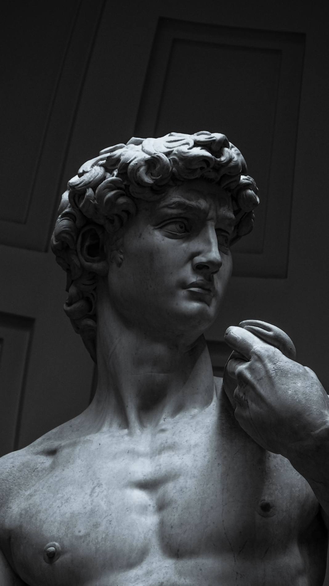 Michelangelo's David, black and white